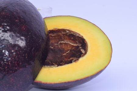 Avocado export crates