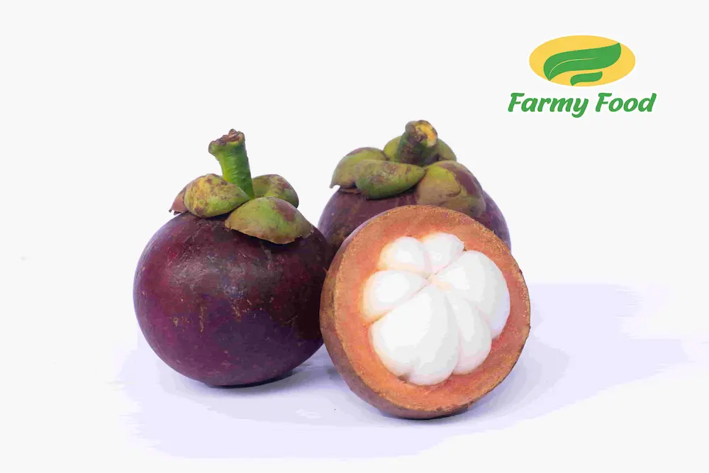 Mangosteen